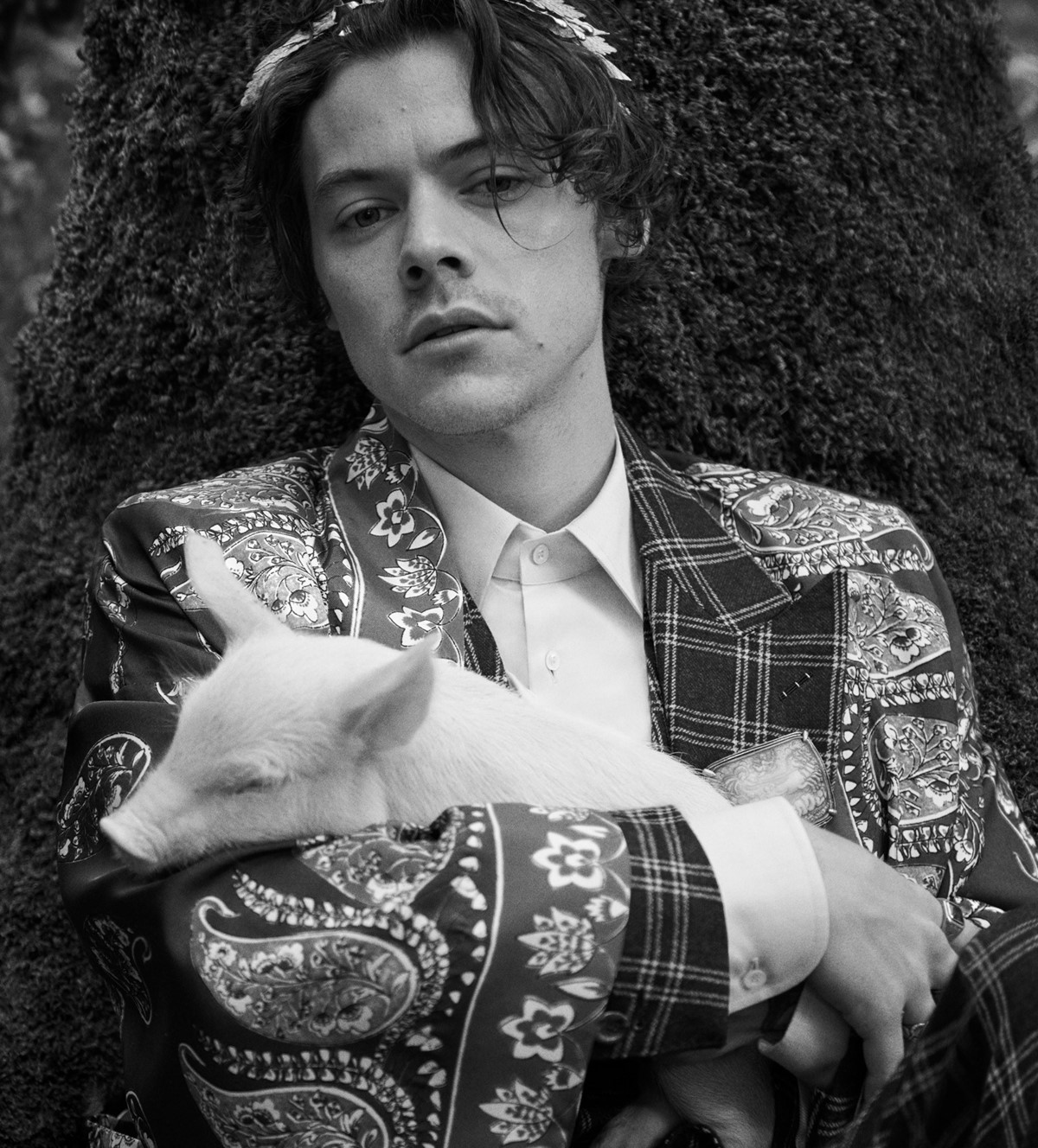 Harry Styles Models Alongside a Lamb and a Piglet in Gucci’s New ...