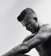 David Beckham, Collier Schorr, Another Man Magazine