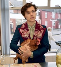 Harry Styles for Gucci Tailoring Campaign model 2018