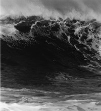 Anthony Friedkin Daniel Cooney surf photography exhibition