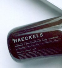 Haechles_Rt