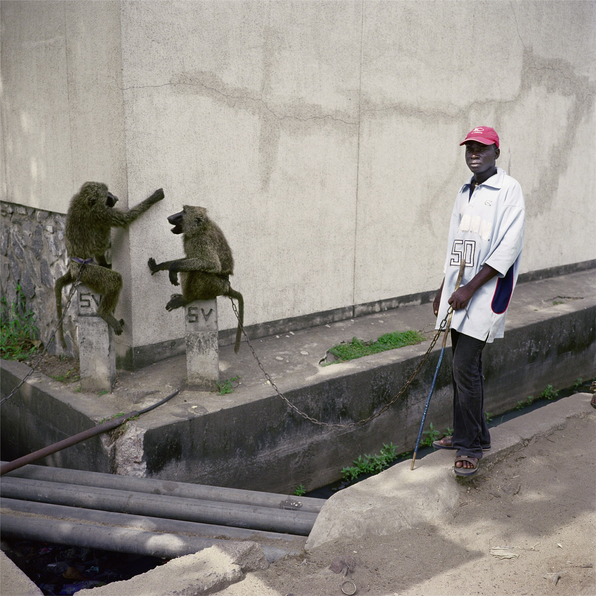 The Hyena &amp; Other Men Pieter Hugo interview Beyonce