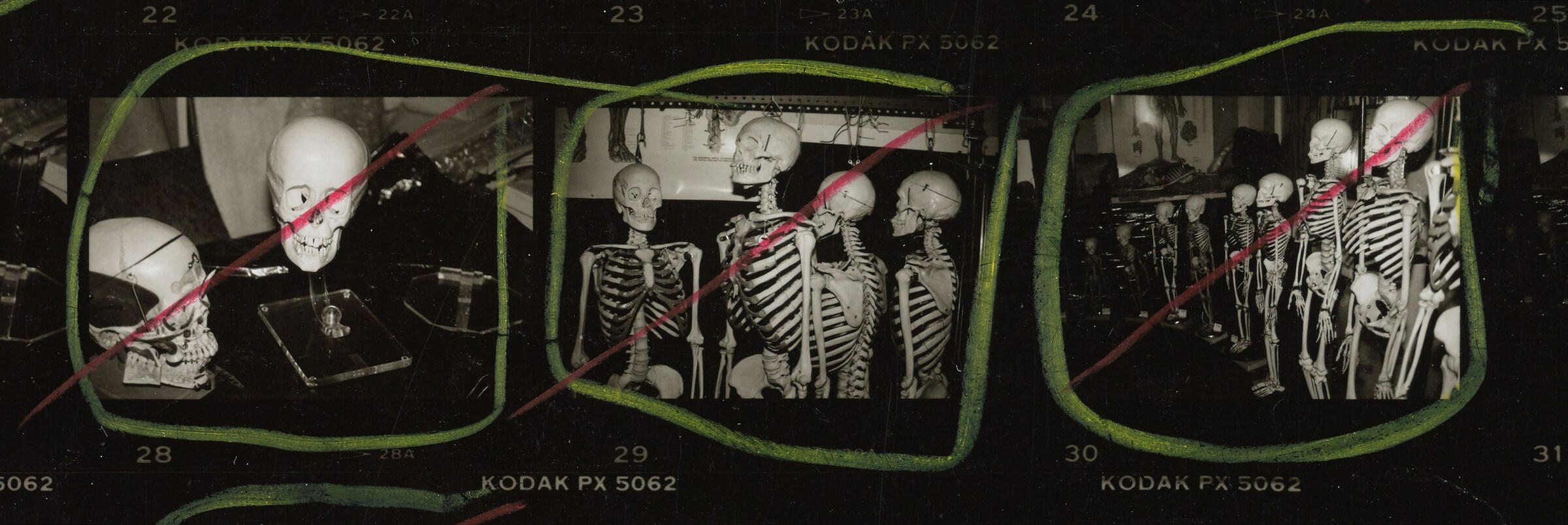 10-2014.43.2892_detail_Stuart_Pivar_skulls