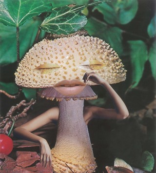 1. Seana Gavin, ‘Mindful Mushroom’, courtesy of th