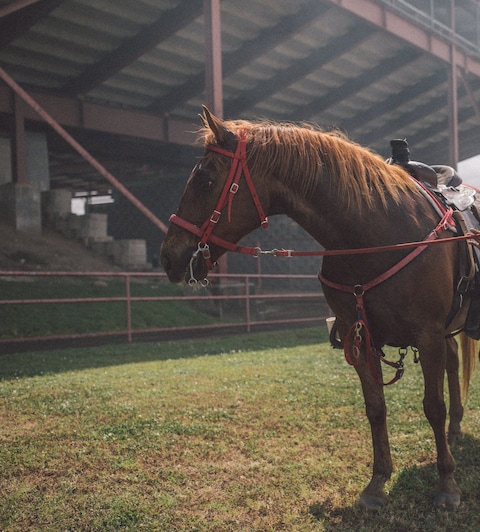 Angola Prison Rodeo Travis Gillett interview 2018 inmates