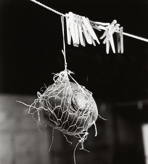 Luis Alberto Rodriguez People of the Mud