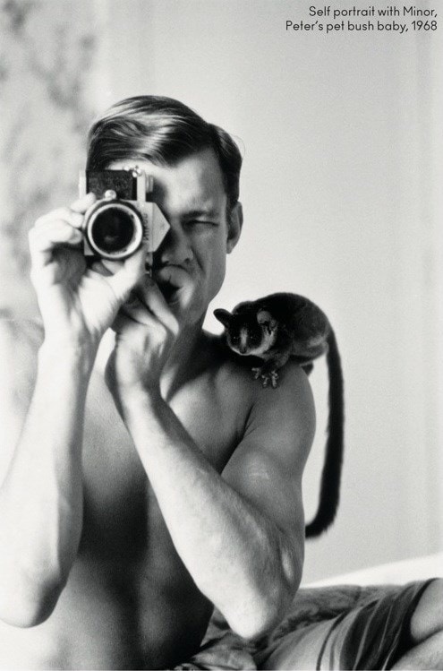 Self portrait with Minor, Peter’s pet bush baby, 1968