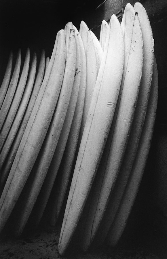 Anthony Friedkin Daniel Cooney surf photography exhibition