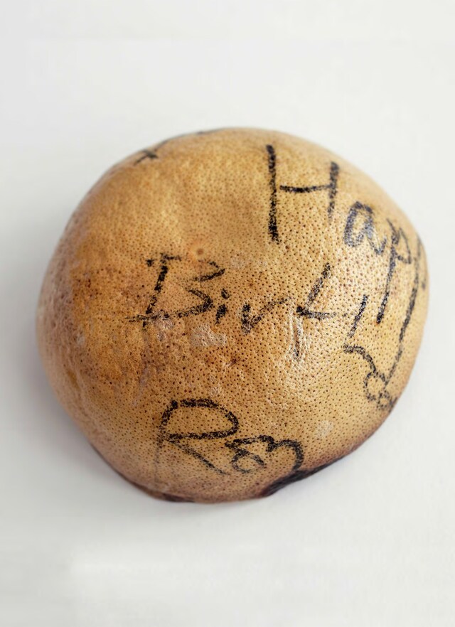 ARC056_JulioSantoDomingo_AlteredStates_AnOther_04