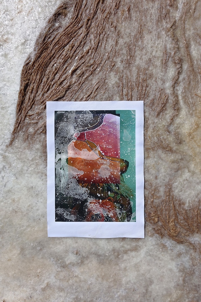 Take Me Where the Salt Is Wanda Orme