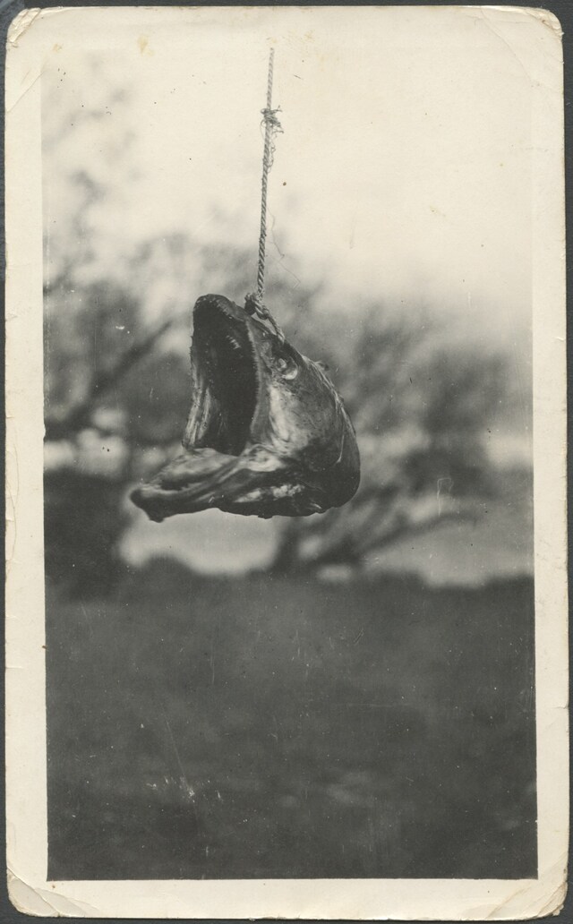 Photographs from the Collection of Charlie Beesley