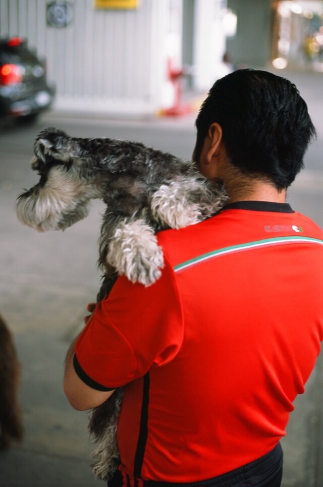 Mexico Diary Joseph Skilton 2018 Another Man anothermanmag
