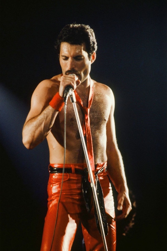 Freddie Mercury style fashion clothes costumes