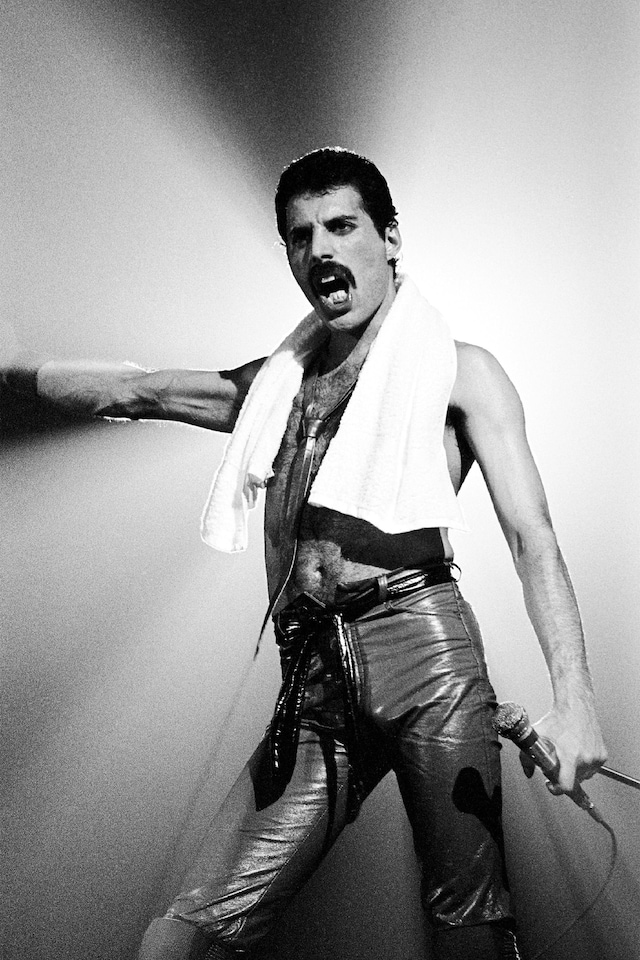 Freddie Mercury style fashion clothes costumes