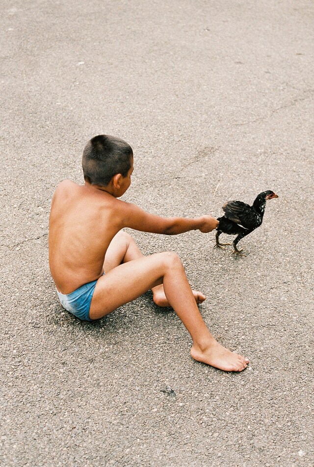 QUEENS08_NicolasPoillot