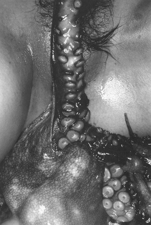 Sawatari Hajime Japanese female erotica octopus tentacles