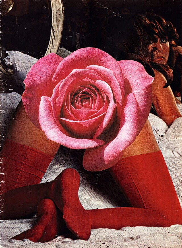 Linder Sterling feminist art porn punk Goddess Who Bewitches