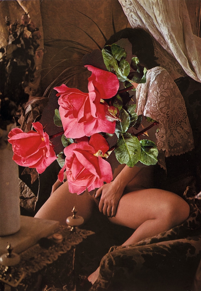 Linder Sterling feminist art porn punk Goddess Who Is Knowle