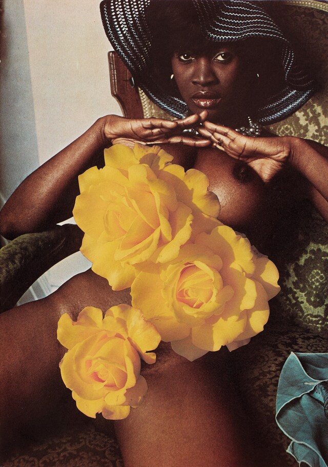 Linder Sterling feminist art porn punk Goddess Who Removes