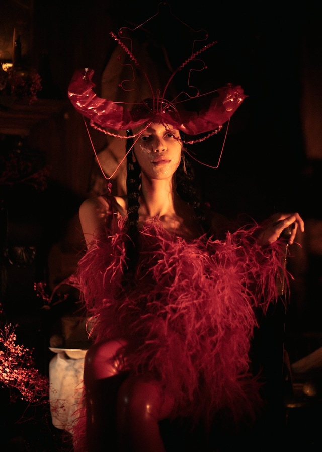 Dilara Findikoglu Spring 2019 Dennis Severs House Darkness