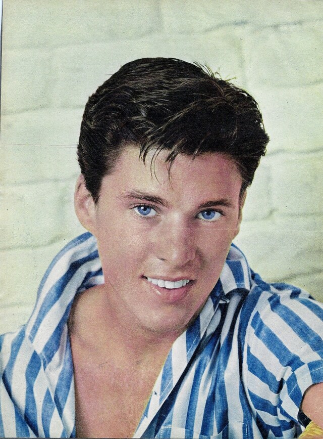 Ricky Nelson fans Harry Styles