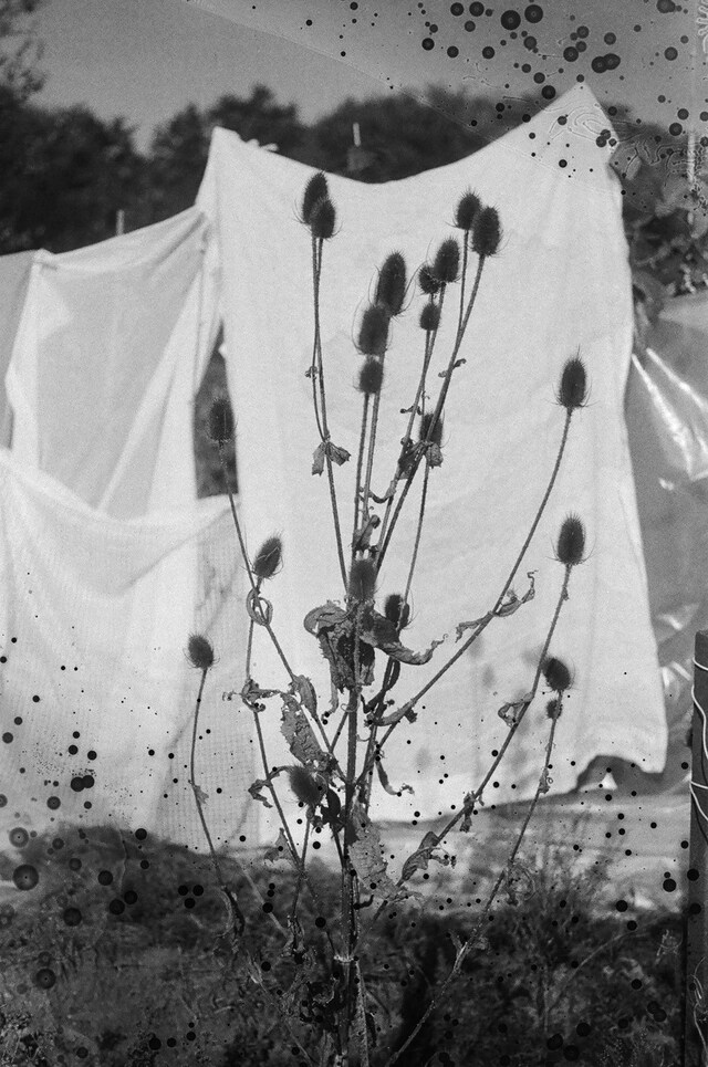 Romance Ritual Michael James Fox photography film