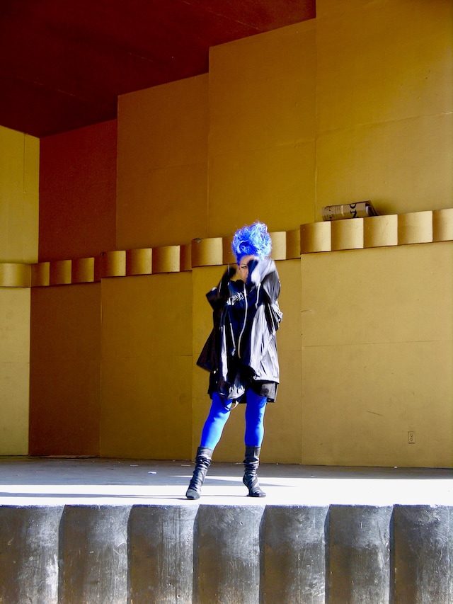 Alice Bag musician punk