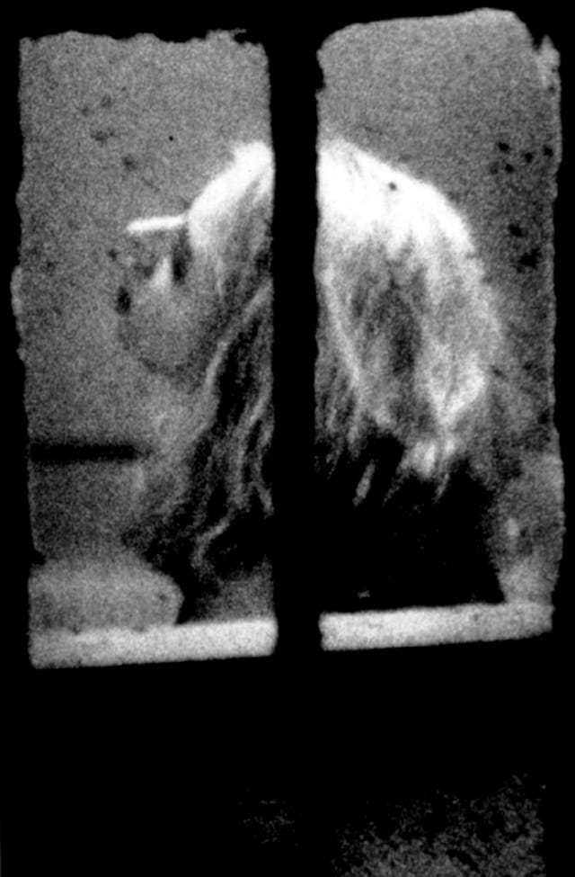 Merry Alpern Dirty Windows stripper erotic photography