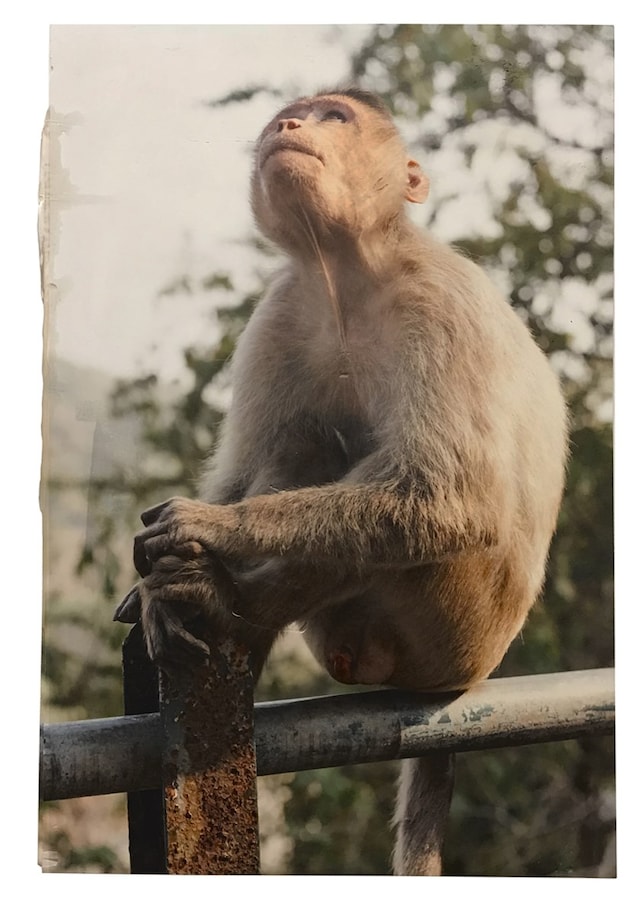 MAN28_DOC6_HR_FINAL_07_Web