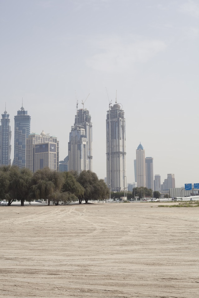 Foreign Sands Ben Soedira Photographer Dubai 2019