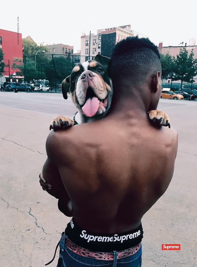 Supreme Phaidon Book New York James Jebbia 2020