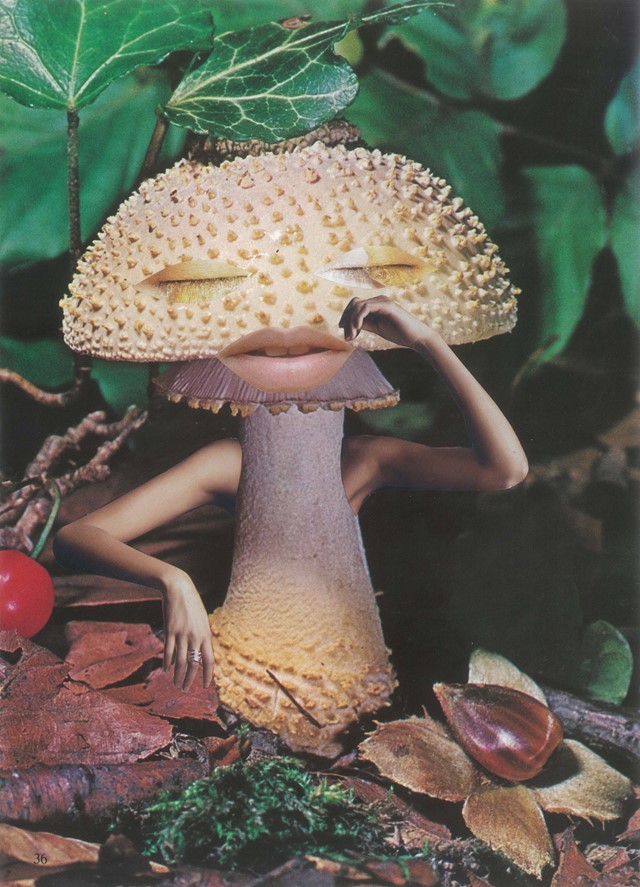 1. Seana Gavin, ‘Mindful Mushroom’, courtesy of th