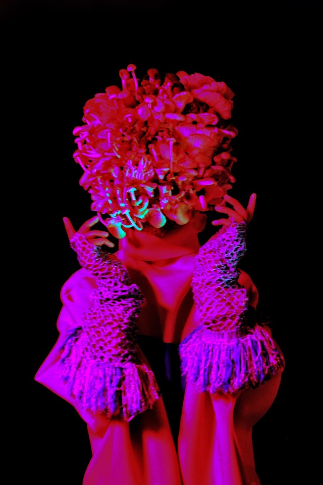 Mushrooms by Elisha Smith-Leverock Somerset House exhibition