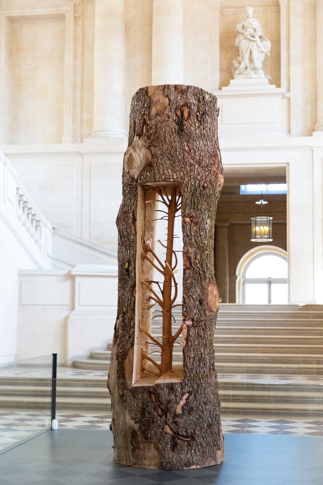 Giuseppe Penone_Albero Porta - CedroDoor Tree - Ce