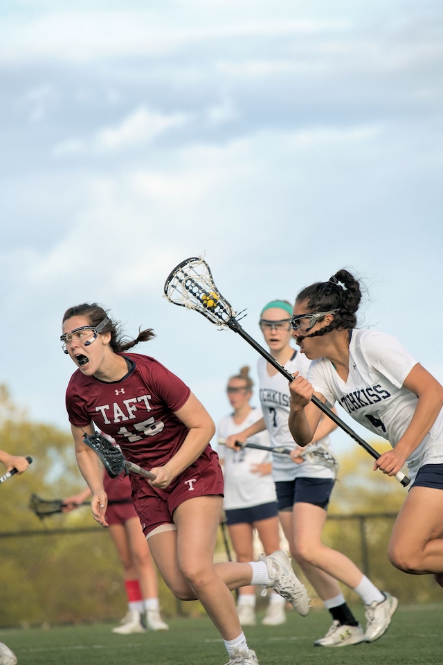 Buck_Ellison_Living_Trust_02_Hotchkiss v. Taft 1