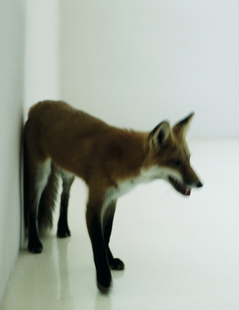 Casey Affleck, Mark Segal, Another Man Magazine