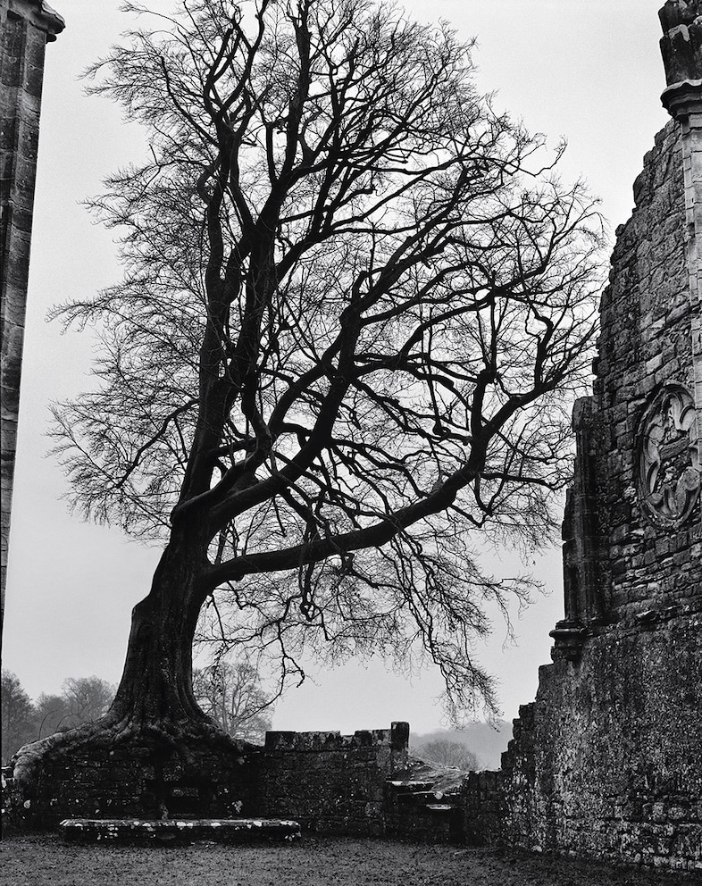 These New Puritans Alasdair McLellan Alister Mackie Another