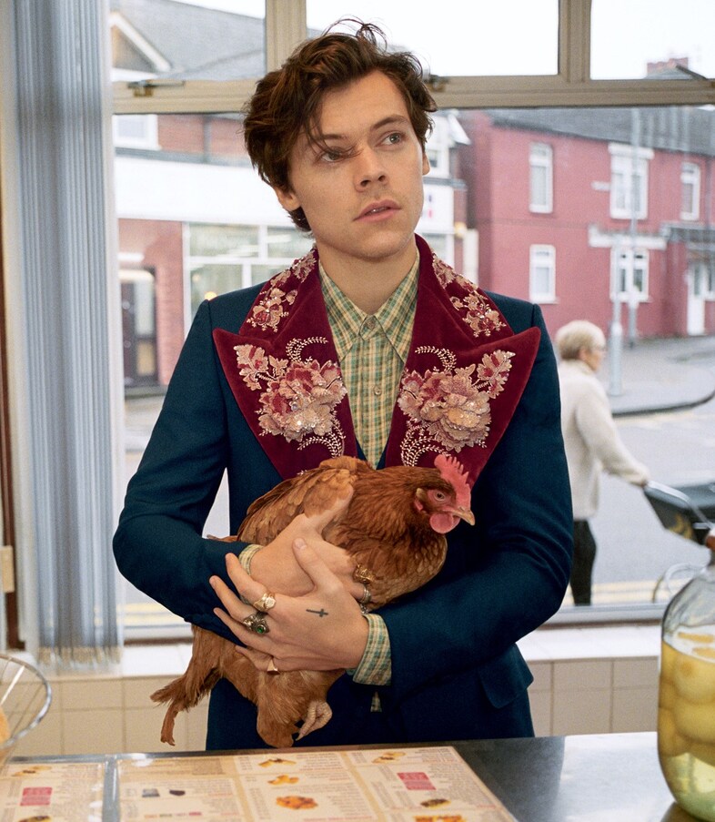 Harry Styles for Gucci Tailoring Campaign model 2018