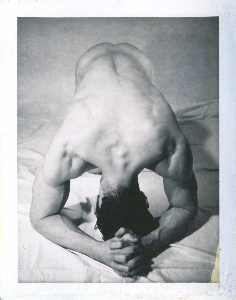 Gay Colt model male nude vintage erotica Jim French