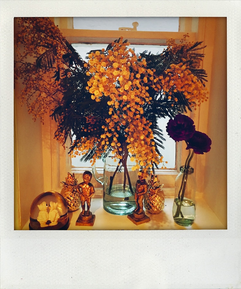 Nick Cave Polaroids archive Another Man magazine Susie 