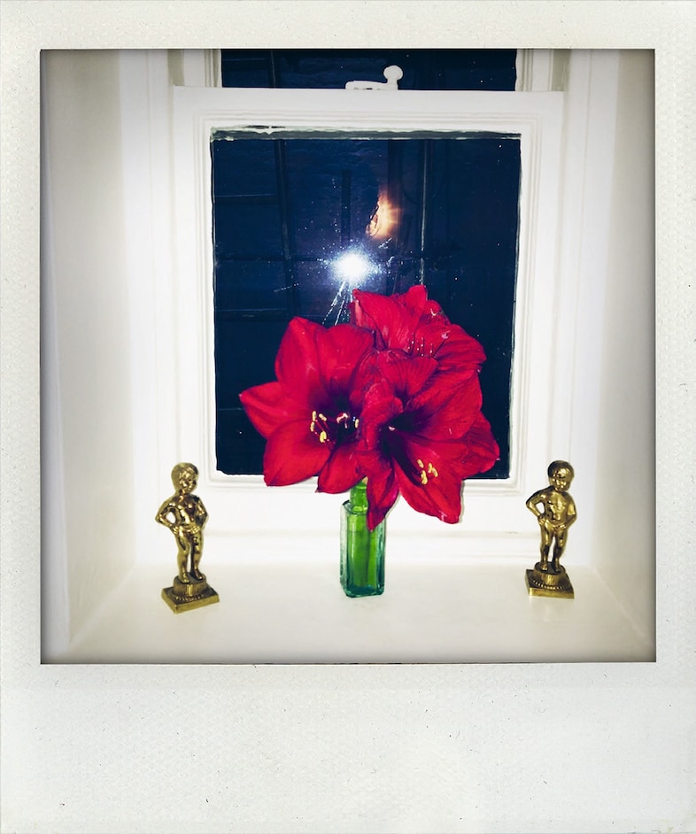 Nick Cave Polaroids archive Another Man magazine Susie 