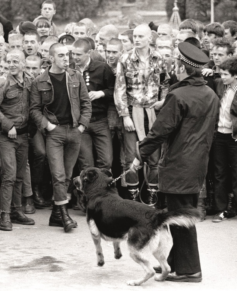 Skinhead fashion style Derek Ridgers Patrick Potter book