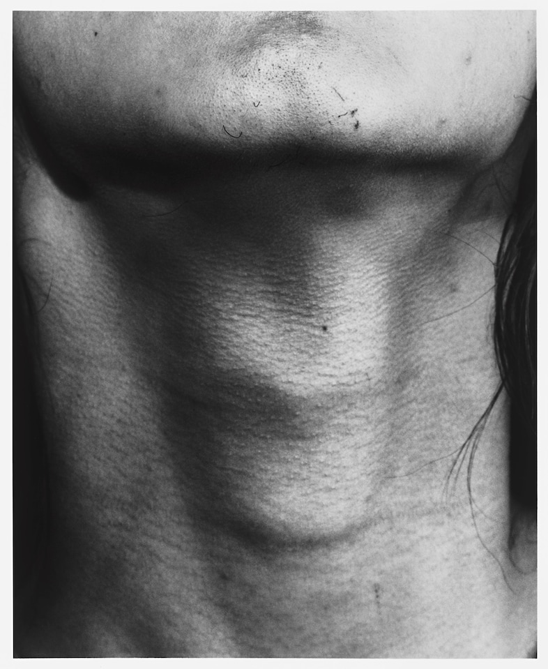 4. Sam Contis, Untitled (Neck), 2015