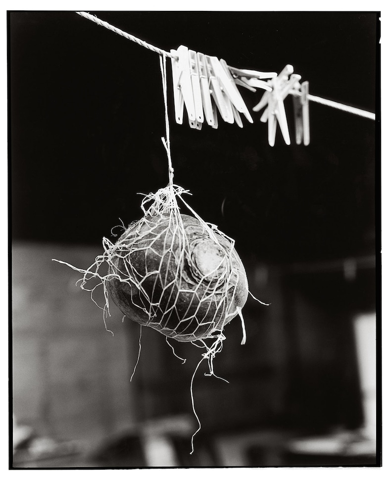 Luis Alberto Rodriguez People of the Mud