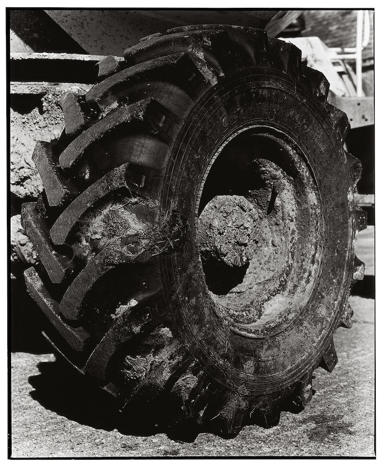 Luis Alberto Rodriguez People of the Mud