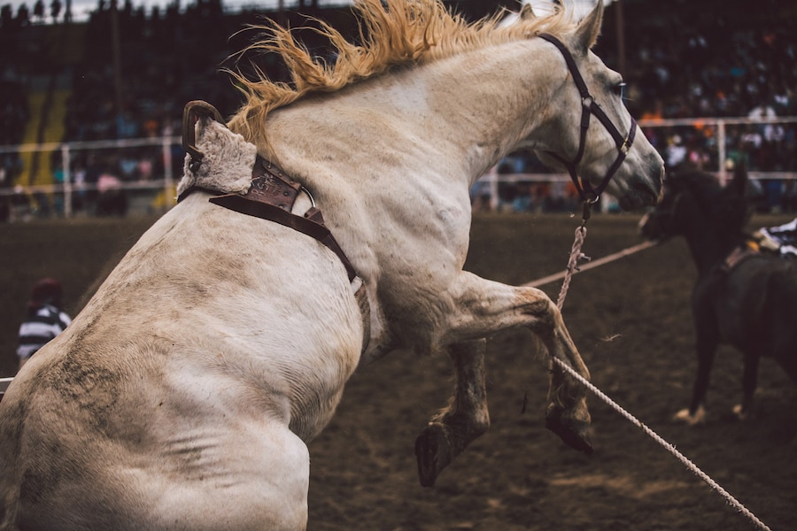Angola Prison Rodeo Travis Gillett interview 2018 inmates
