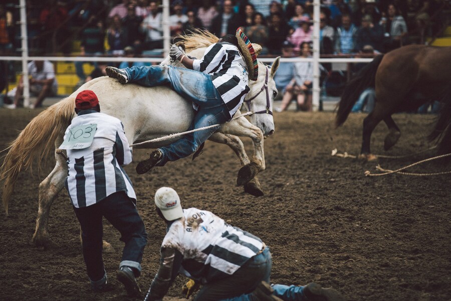 Angola Prison Rodeo Travis Gillett interview 2018 inmates