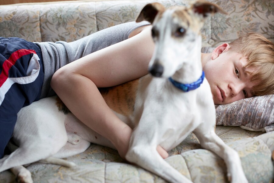 Paddy &amp; Liam book Perry Ogden Travellers interview 2018 