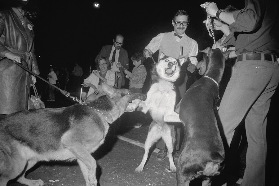 Joel Meyerowitz interview guide photography street