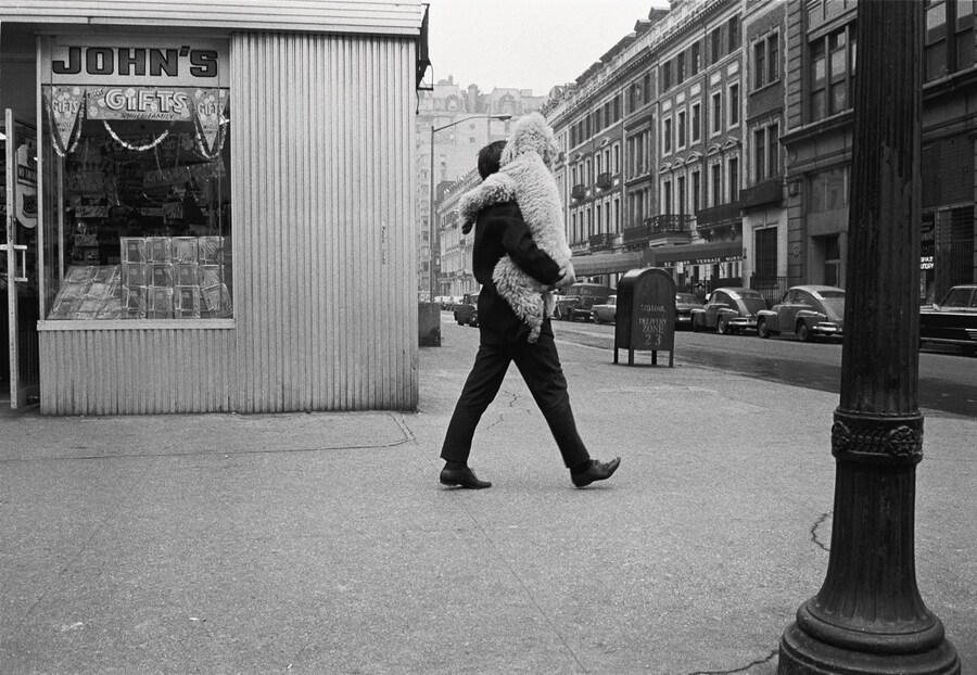 Joel Meyerowitz interview guide photography street